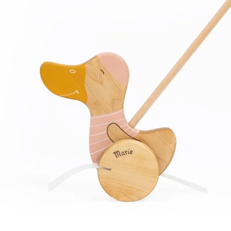 Duck Push Toy